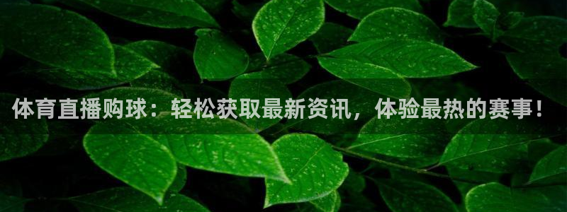 体育直播购球：轻松获取最新资讯，体验最热的赛事！