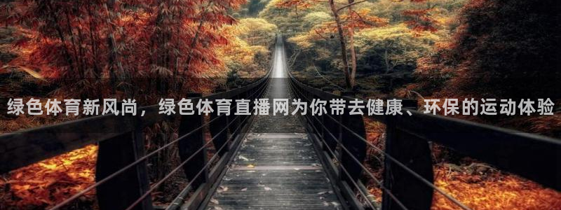 绿色体育新风尚，绿色体育直播网为你带去健康、环保的运动体验